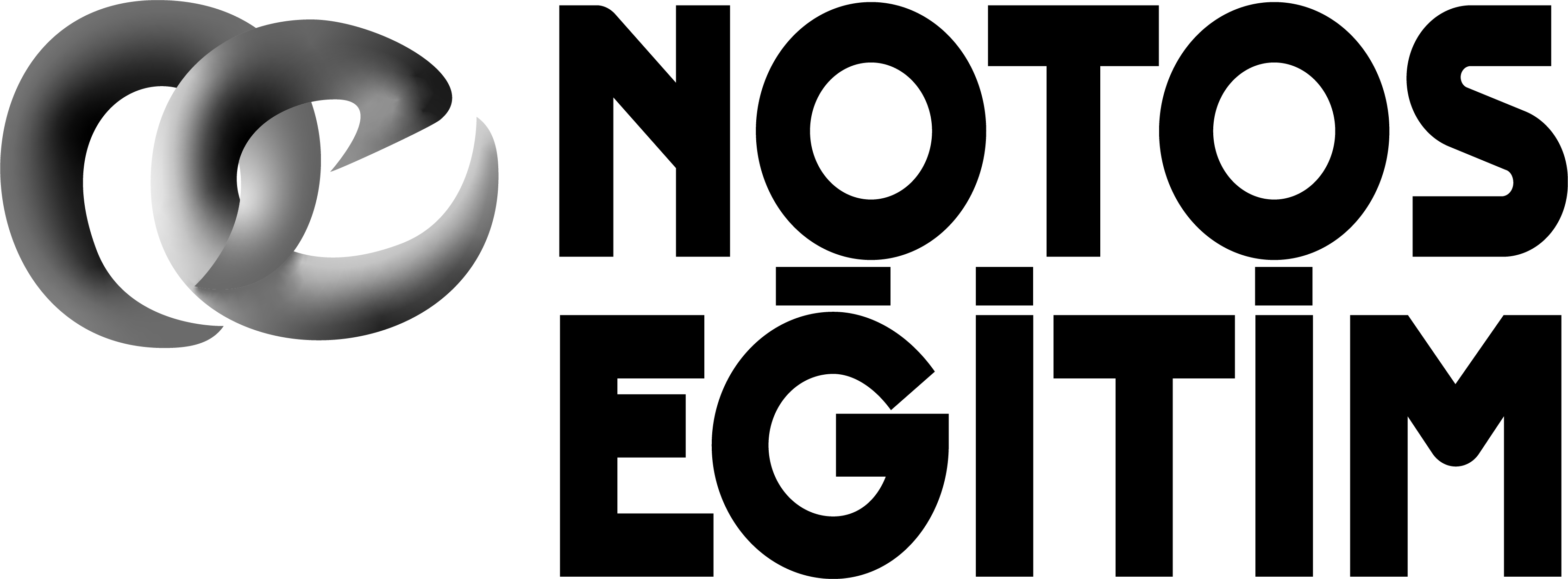 Notos Eğitim Logo