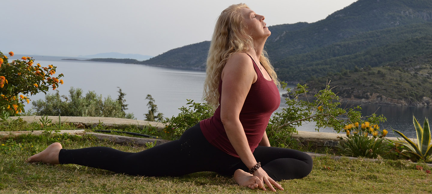 Notos Eğitim Swiper